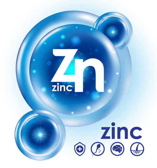 🛡️ ZINC